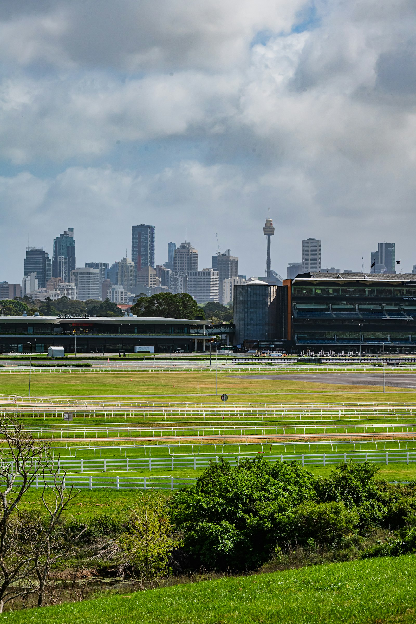 Empty racecourse track with green turf